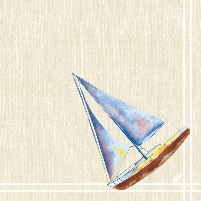 Tovagliolo Dunisoft 40x40 cm Tide - 60 pz x cf - 12 cf x ct