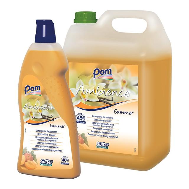 Detergente deodorante multiuso ambience summer fruttata 1 lt - 12 Fl x ct