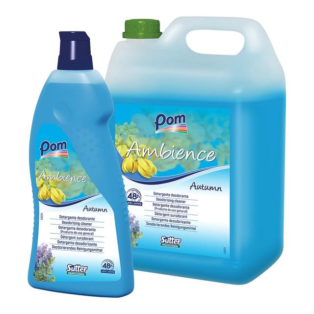 Detergente deodorante multiuso ambience autumn brezza marina 1 lt - 12 Fl x ct